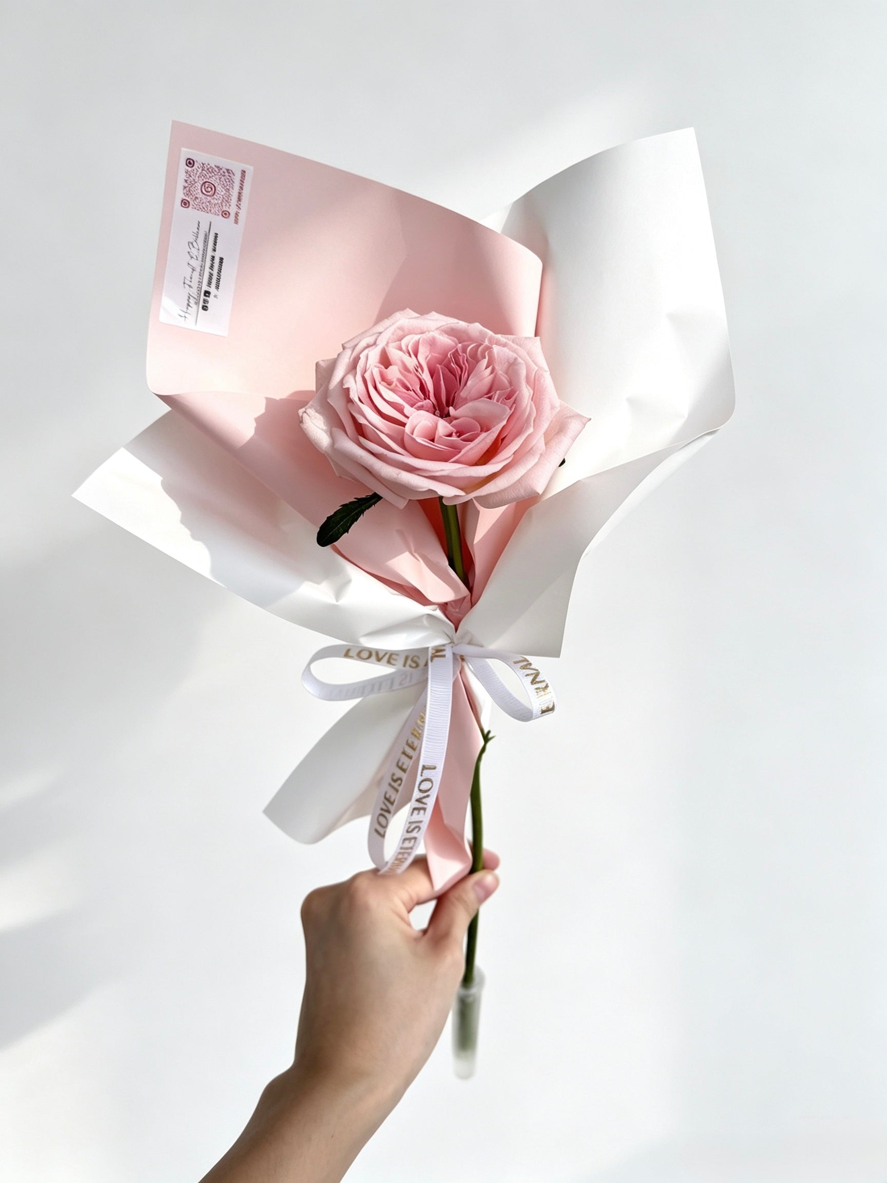 Dear You | 致你