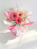 Pink Sunbeam | 粉黛暖阳